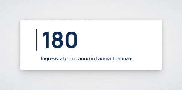 Frontend view of the Statistic block.